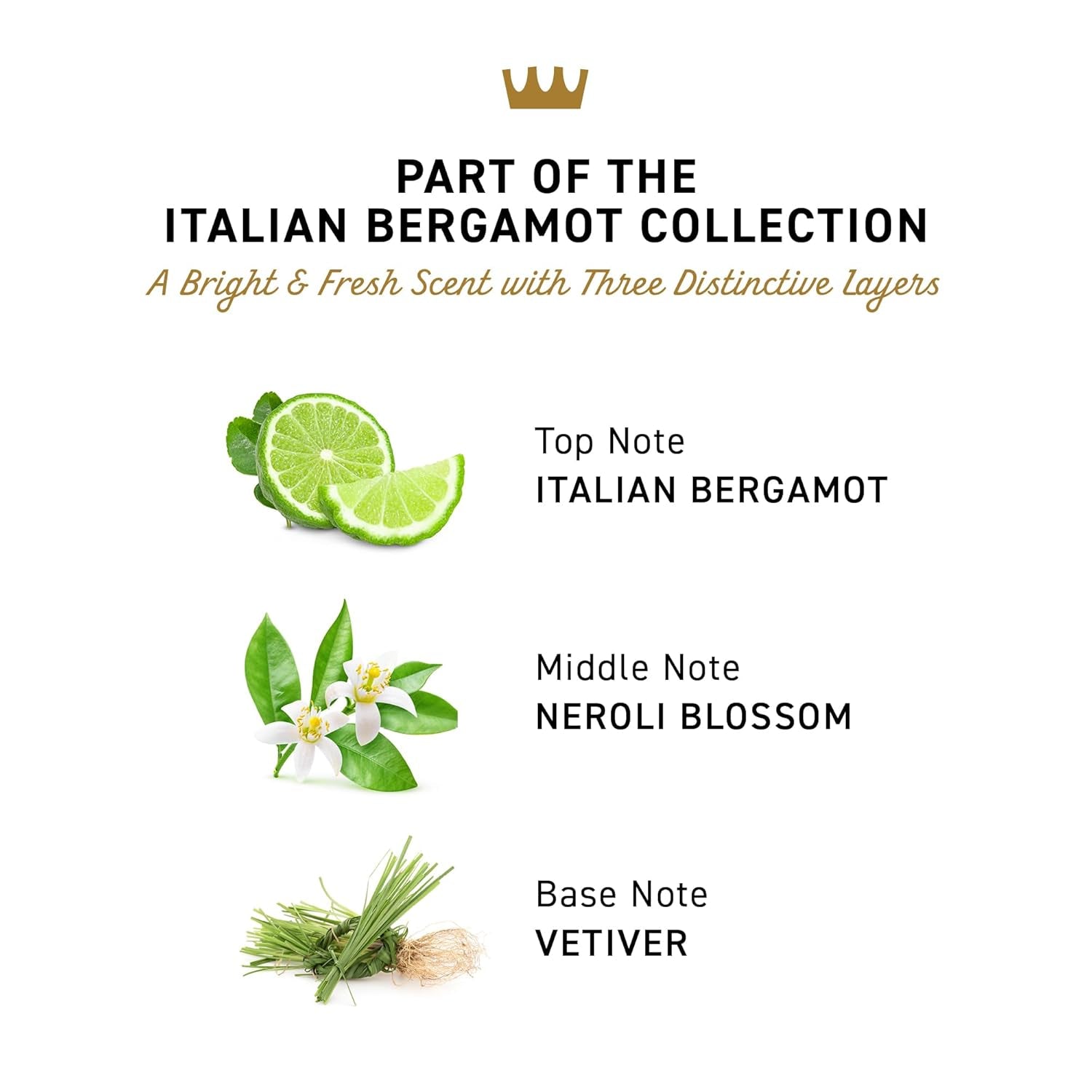 Italian Bergamot Antiperspirant & Deodorant for Men, 48-Hour Sweat and Odor Prot
